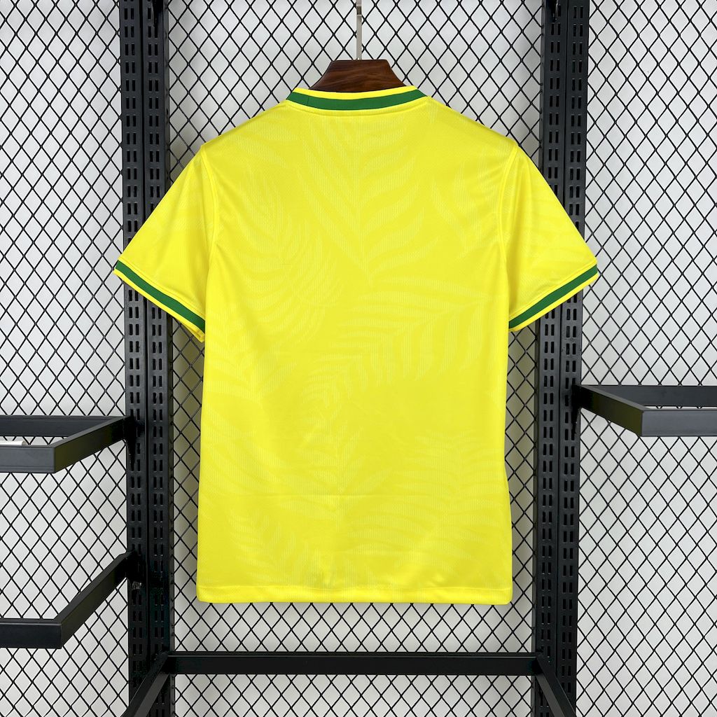 JERSEY CONCEPT BRAZIL 2025/2026
