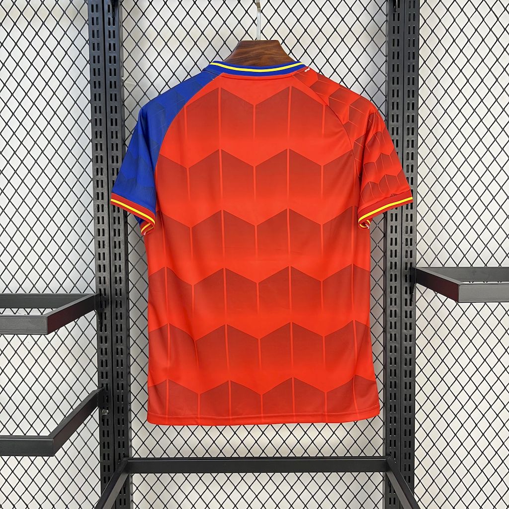 JERSEY EPAGNE 2025/2026