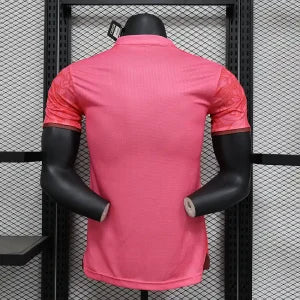 JERSEY CONCEPT PALESTINE 2024/2025