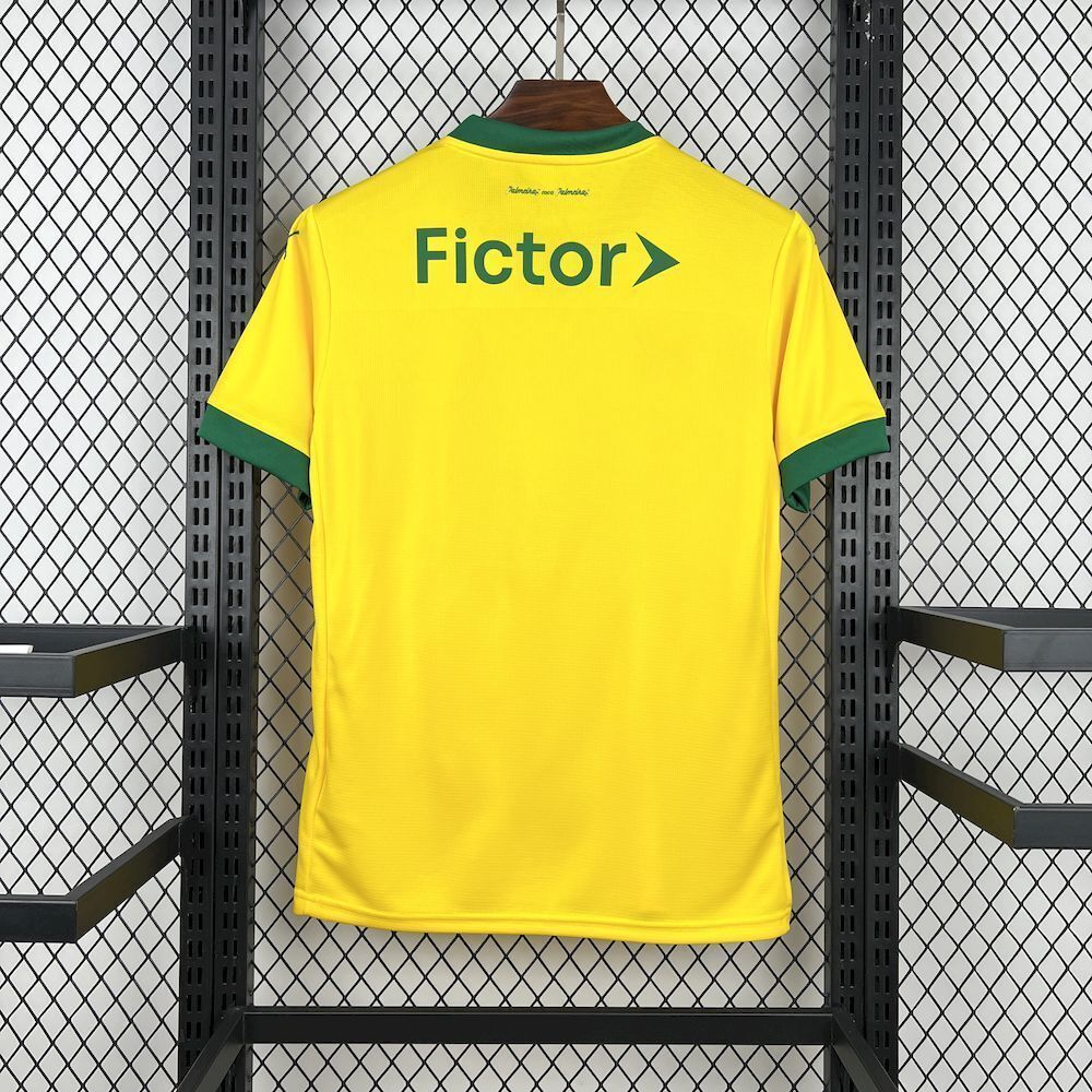 JERSEY PALMEIRAS 2025/2026