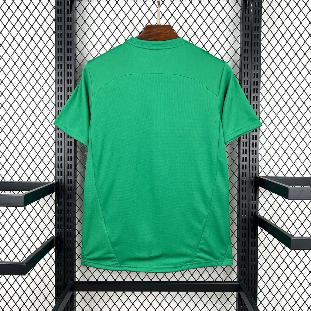 JERSEY PALMEIRAS 2025/2026