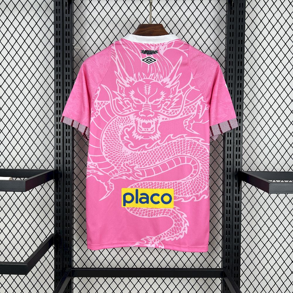 JERSEY CONCEPT SANTOS 2025/2026