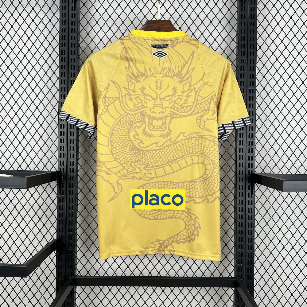 JERSEY CONCEPT SANTOS 2025/2026